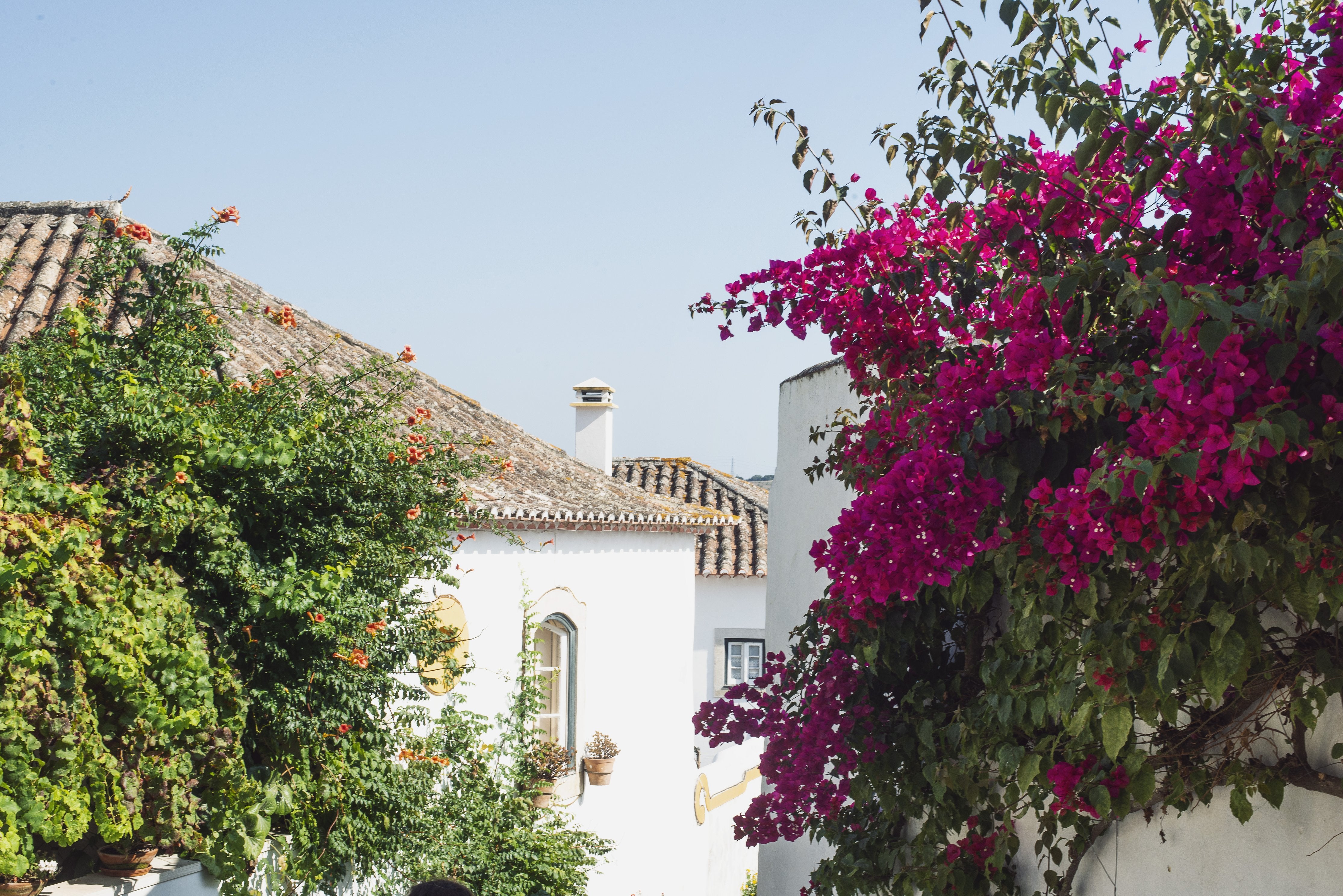Mediterranean inspiration